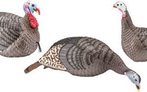 HS STRUT TURKEY DECOY FLOCK