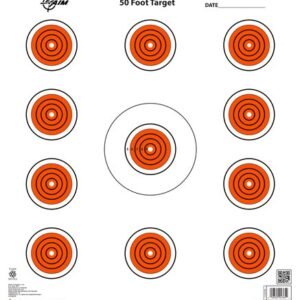 ALLEN EZ AIM 11 SPOT TARGET