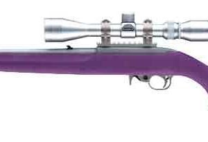 HOGUE STOCK RUGER 10/22
