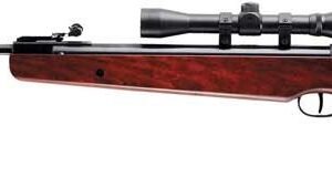 RWS RUGER AIR HAWK RIFLE