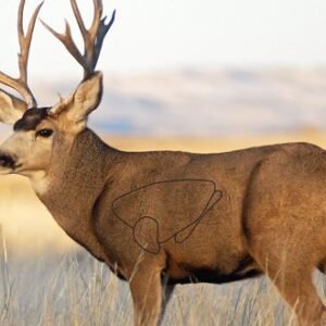 B/C TARGET EZE-SCORER 23"X35"