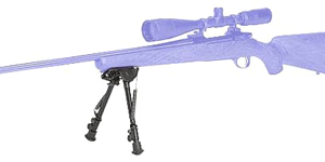 CHAMPION ROCK MOUNTAIN