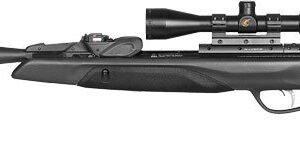 GAMO SWARM MAXXIM G2 .22 AIR