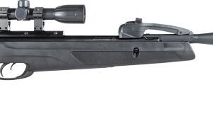 GAMO SWARM WHISPER .22 W/4X32