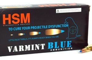 HSM 223 REM 55GR BLITZ KING