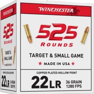 WINCHESTER 22LR 36GR PLATED HP