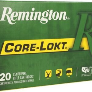 REMINGTON 30-06 180GR