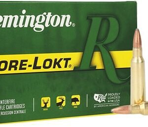REMINGTON 250 SAVAGE 100GR