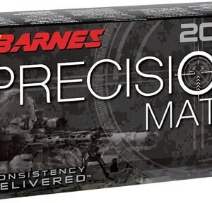 BARNES 300 AAC 220GR OTM FB