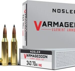 NOSLER VARMAGEDDON 243 WIN