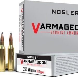 NOSLER VARMAGEDDON 243 WIN