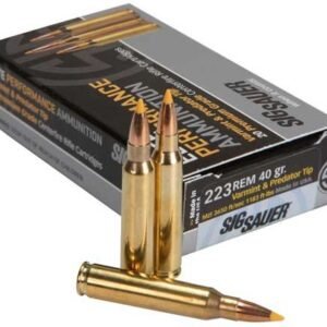 SIG AMMO 223 REM 40GR PREDATOR