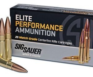 SIG AMMO 300 AAC 220GR OPEN