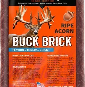 ANTLER KING RIPE ACORN BUCK