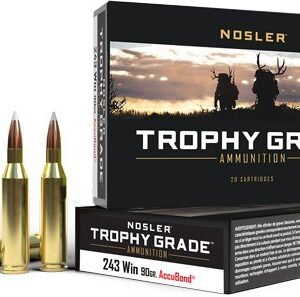 NOSLER TROPHY GRADE 243 WIN