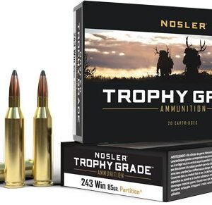 NOSLER TROPHY GRADE 243 WIN
