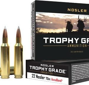 NOSLER TROPHY GRADE 22 NOSLER