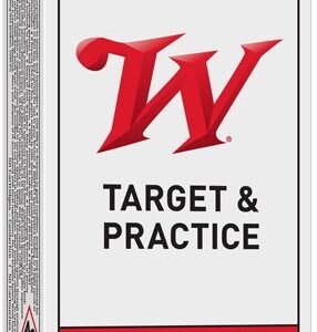 WINCHESTER USA 380 ACP 95GR