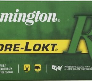 REMINGTON 243 WIN 100GR PSP