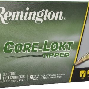 REMINGTON 243 WIN 95GR TIPPED