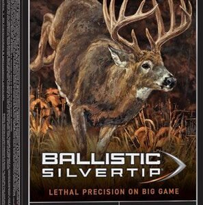 WINCHESTER SUPREME 300 WIN MAG