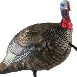 AVIAN X LCD QUARTER STRUT JAKE