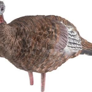 AVIAN X LCD BREEDER HEN DECOY