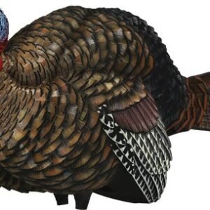 AVIAN X LCD 1/2 STRUT JAKE