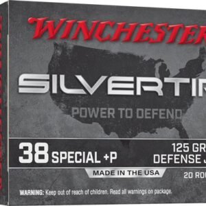 WINCHESTER SILVERTIP 38