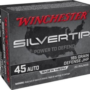 WINCHESTER SILVERTIP 45 ACP