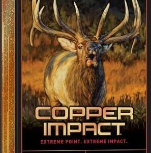 WINCHESTER COPPER IMPACT 300