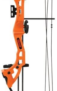 BEAR ARCHERY YOUTH COMPOUND