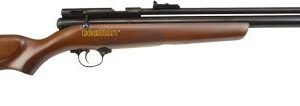 BEEMAN 1322 PCP CHIEF .22