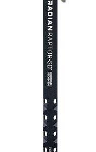 RADIAN RAPTOR-SD CHARGING