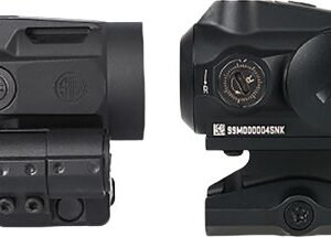 SIG RED DOT/MAGNIFIER COMBO