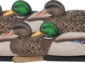 ZINK FLOATER DECOYS MALLARD